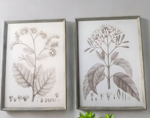 Set de cuadros flores