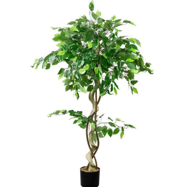 Ficus trenzado Artificial 130cm